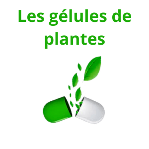 Gélules de plantes unitaires et en synergie